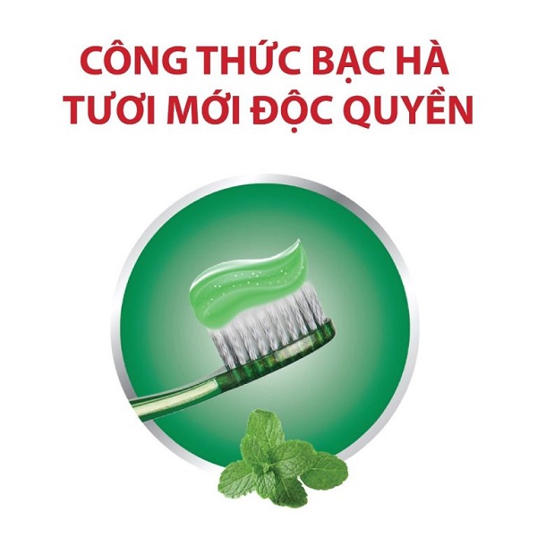 vn-11134207-7r98o-lokv5emzaxo339-768x768